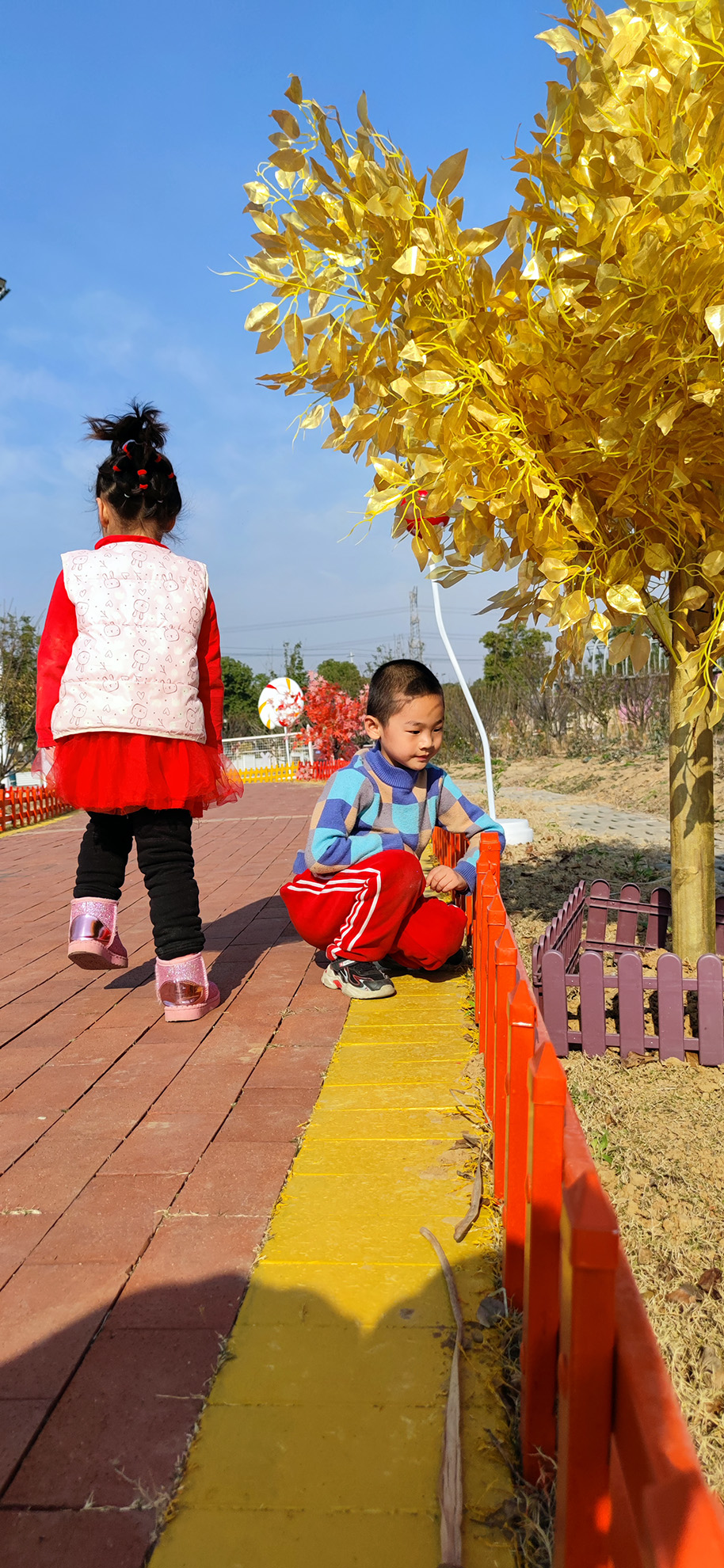 秋日黄叶 秋日黄叶